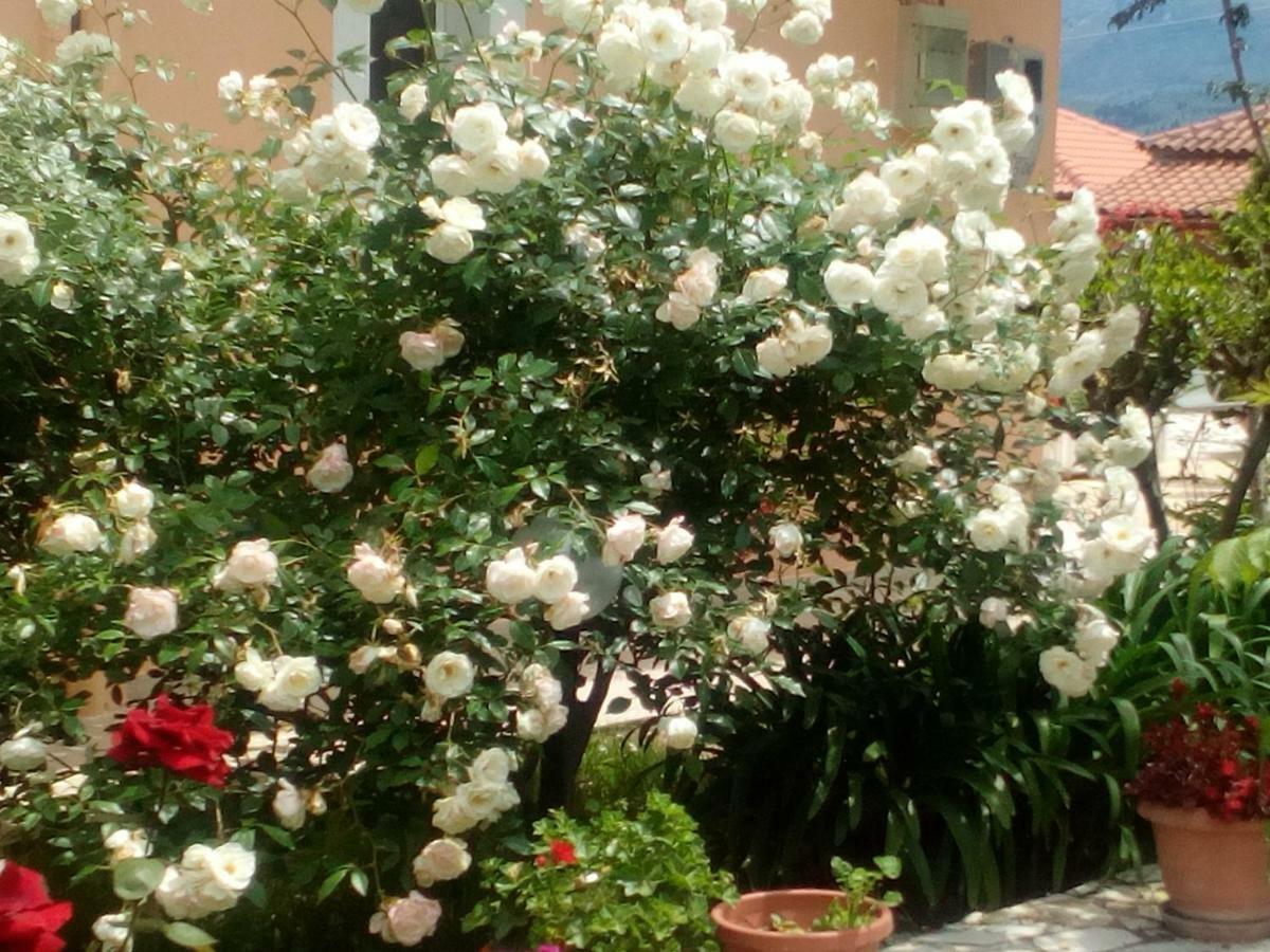 Maria'S Paradise Astrakeri ภายนอก รูปภาพ