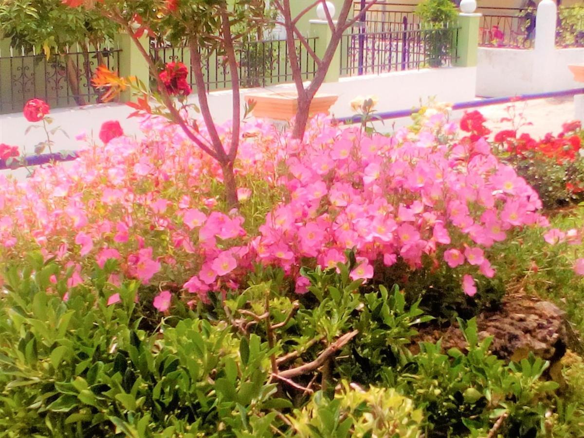 Maria'S Paradise Astrakeri ภายนอก รูปภาพ