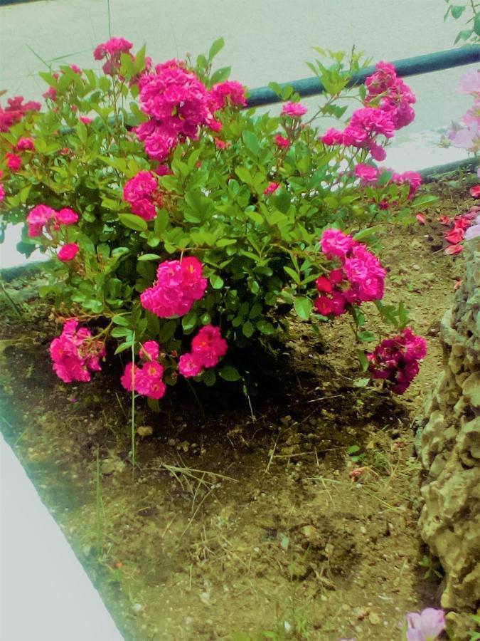 Maria'S Paradise Astrakeri ภายนอก รูปภาพ